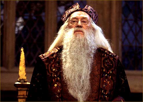 Attitudes non-limitées aux types MBTI  Dumbledore-in-the-great-hall-albus-dumbledore-25819457-495-354